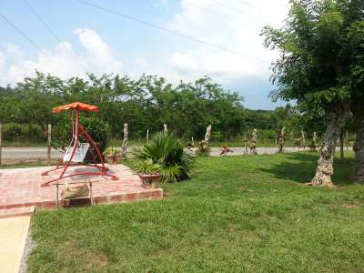 'Courtyard' Casas particulares are an alternative to hotels in Cuba.